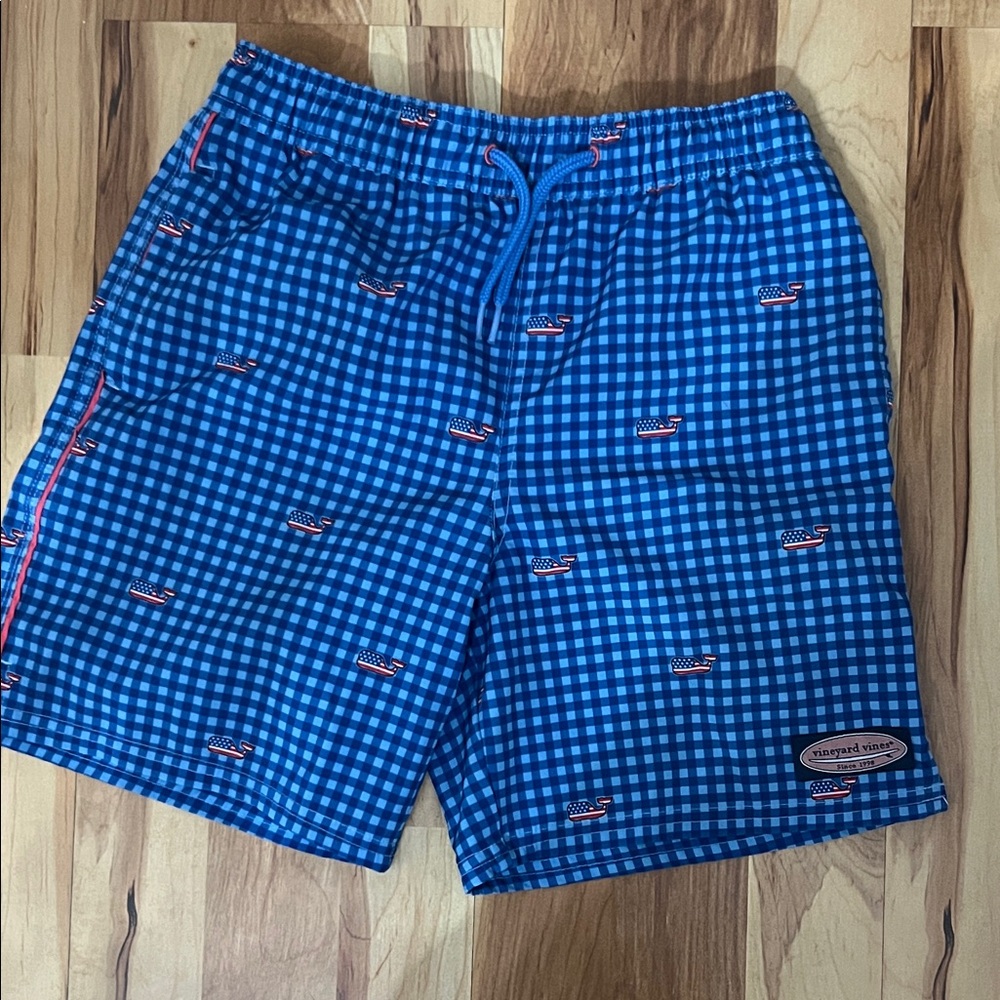 Vineyard Vines Blue Gingham Swim Trunks with Red Boat Accents